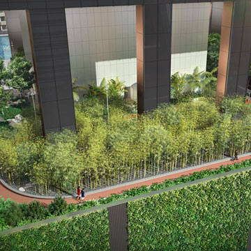 Bamboo Garden with 100m Jogging Track