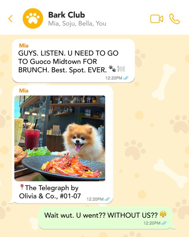 🚨🐾 LEAKED: PET GROUP CHAT 🐾🚨

They’re not just cute… they’re plotting brunch plans behind your back. 👀

Whispers of puppuccinos, outdoor seating, and belly rubs at Guoco Midtown have been spotted.

Better clear your schedule — they’ve already made the plans for you. 😎🐶🐱

Tag your paw-rent crew & swing by for a fluffy catch-up soon!

#GuocoMidtown #ExploreSingapore #HelloMidtown #PetsOfGMT #PetFriendlySG