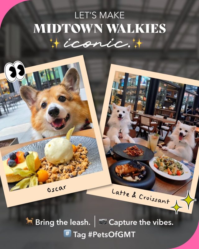 🐾✨ “Omg your dog is SO cute!” Get that a lot? Bring your fur-iends, snap those paw-fect pics, and tag #PetsOfGMT for a chance to be featured on our page! 📷🐶​
​
#GuocoMidtown #ExploreSingapore #HelloMidtown #petfriendly