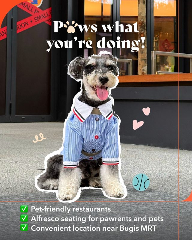 Whether you’re headed to the Singapore Pet Festival or just on a casual stroll, Guoco Midtown (Beach Road) is the pawfect hangout for you and your pet. 

Bring your furry friend to Guoco Midtown — a pet-friendly destination with outdoor dining and comfy rest stops for both you and your pet. 🐕🦴🐾

#GuocoMidtown #ExploreSingapore #HelloMidtown #petfriendly #SGPetFestival