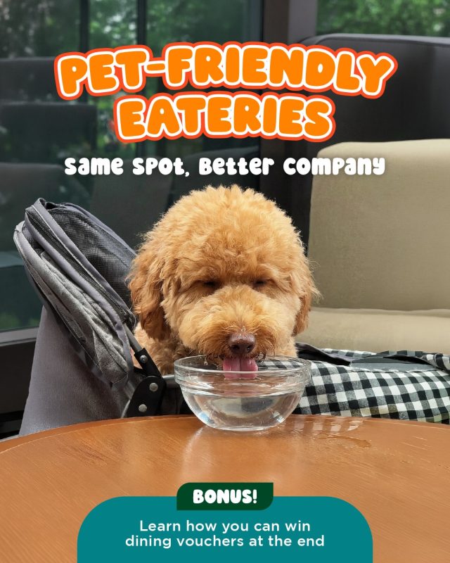 Paws on the menu at Guoco Midtown’s pet-friendly eateries! 🐾🍽️

PSA: You’ve got until 24 April to join our #WhoWoreItBetterGMT challenge! Snap a photo with your pet in matching fits, tag us on Instagram, and stand to win dining vouchers! 
Full details in our pinned post. Don’t let your pet down. 

P.S. Pets in prams/carriers are welcome to dine at our alfresco seats