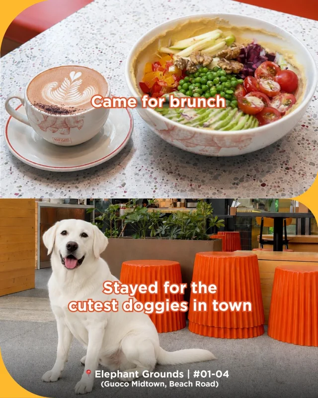 Funny how a quick visit can turn into a whole afternoon of unexpected finds. What’s your favourite discovery here at Guoco Midtown, the food, the residents, or the surprises in between? 

#GuocoMidtown #GuocoMidtownEats #GuocoMidtownII
